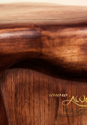 salamandra_cabinet_4