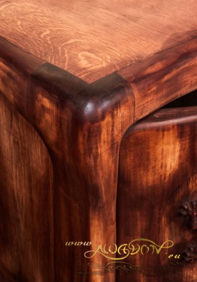 salamandra_cabinet_6