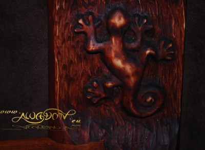 polka_salamandra_1