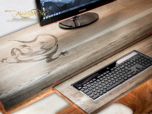 Lizard_desk_ses_10