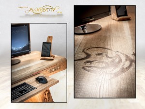 Lizard_desk_ses_13