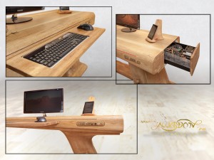 Lizard_desk_ses_16