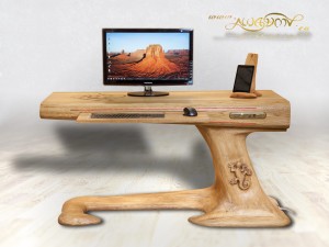 Lizard_desk_ses_2