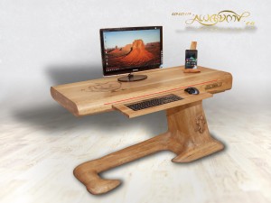 Lizard_desk_ses_3