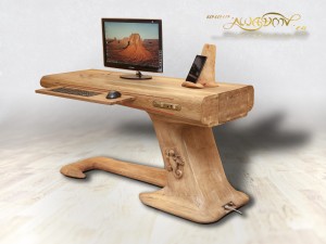 Lizard_desk_ses_4