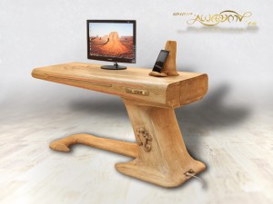 Lizard_desk_ses_5