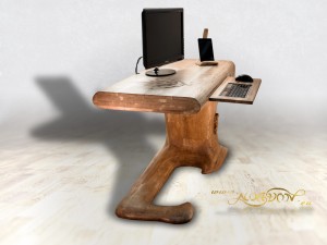 Lizard_desk_ses_6