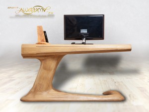 Lizard_desk_ses_7