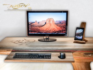 Lizard_desk_ses_9