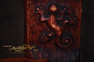 polka_salamandra_1